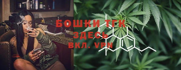 сатива Сатка