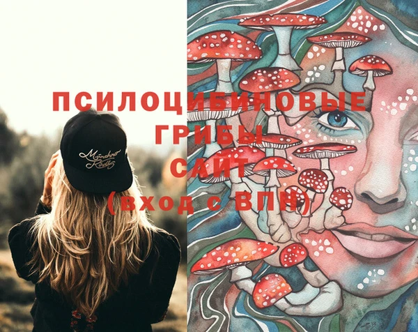 соль курить ск Горно-Алтайск