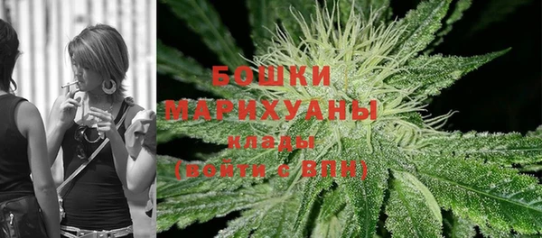 сатива Сатка